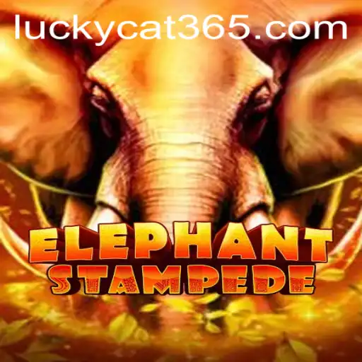 Discover the Thrilling World of ElephantStampede: A Game of Strategy and Luck
