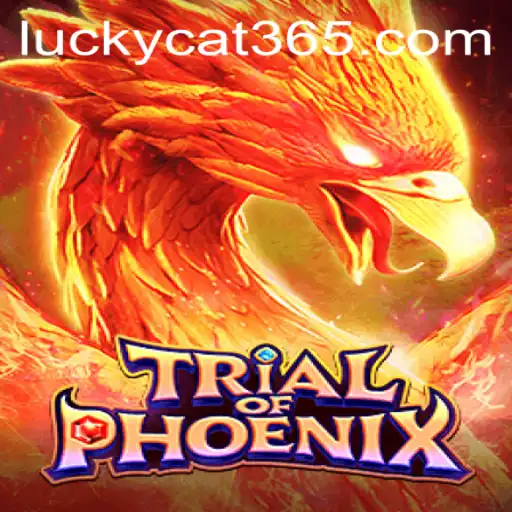 Discover the Mystical World of TrialofPhoenix and the Charm of the Lucky Cat